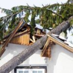 RoofDamage RoofDamage